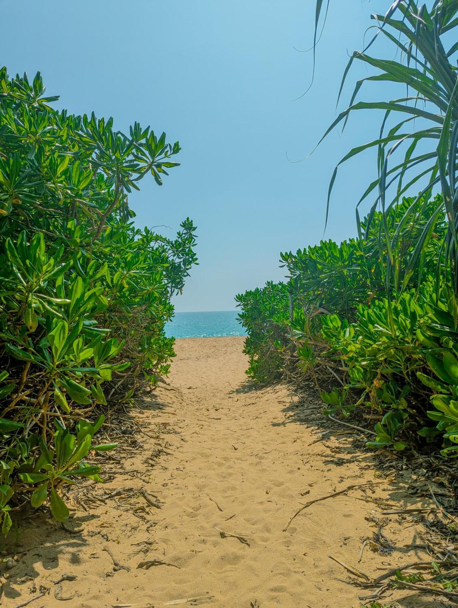 Southern Edge Cabanas Tangalle Eksteriør bilde