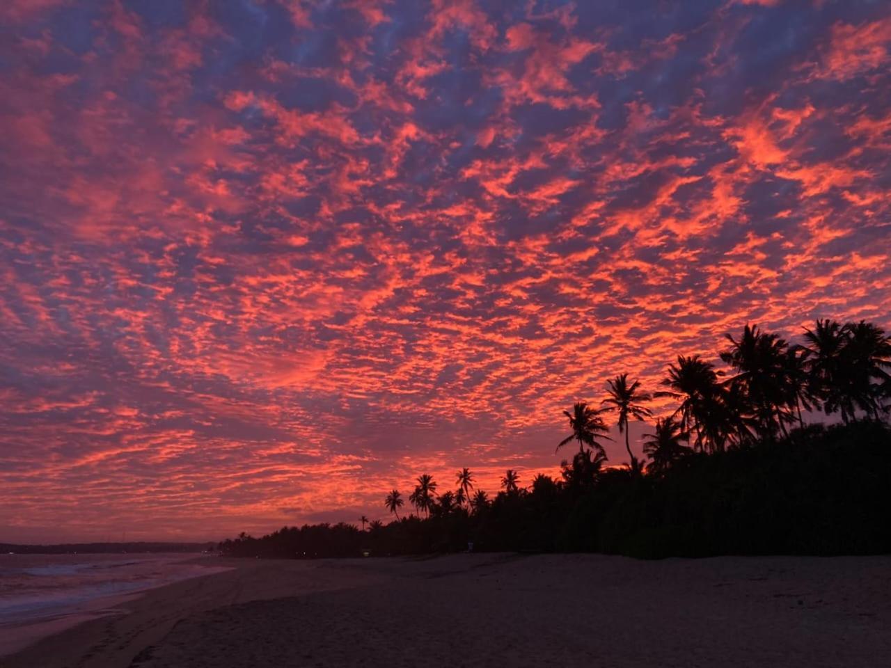 Southern Edge Cabanas Tangalle Eksteriør bilde