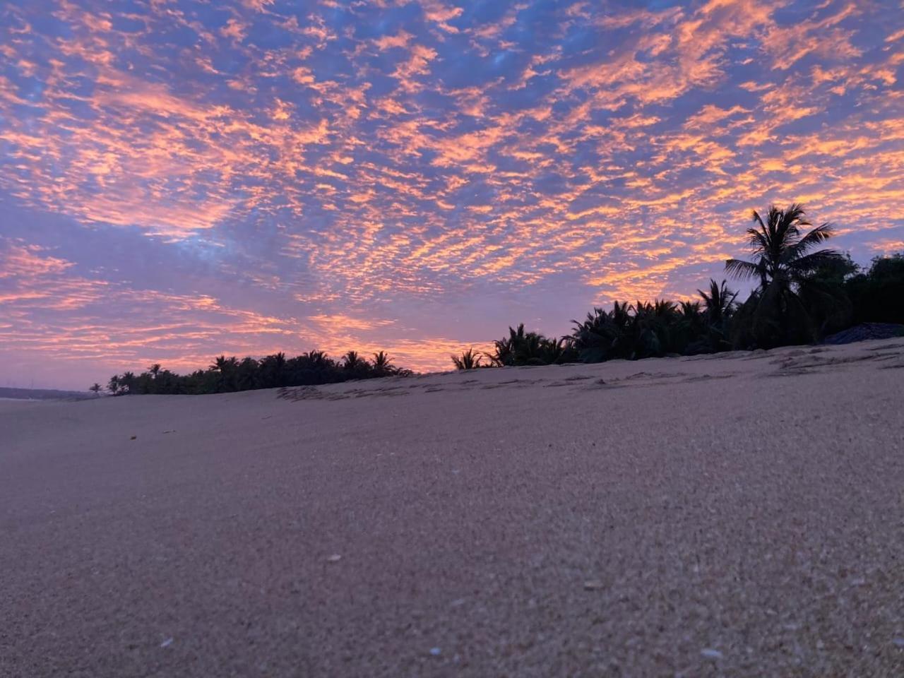 Southern Edge Cabanas Tangalle Eksteriør bilde