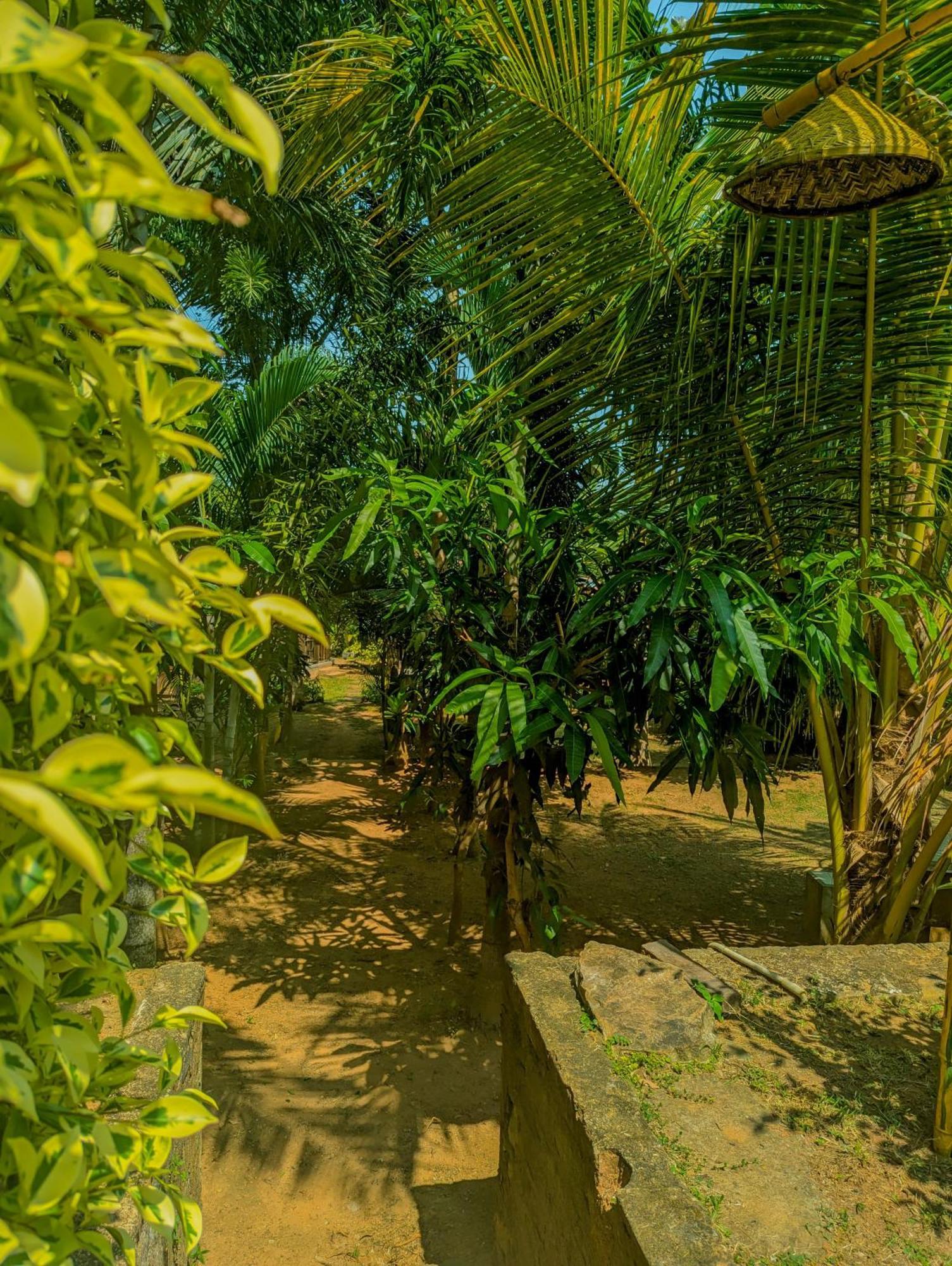 Southern Edge Cabanas Tangalle Eksteriør bilde